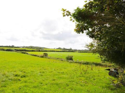 Ty Rhos, Farm Stay, Sleeps 4, Rhoshirwaun 2 Miles From Aberdaron Buitenkant foto
